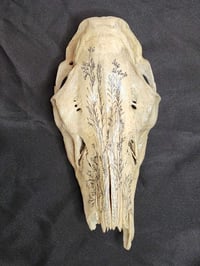 Image 1 of Pen and ink on Large Animal Skull 