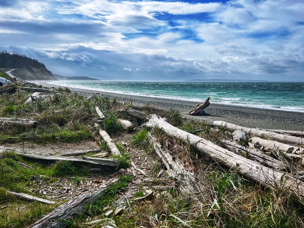 Image of Whidbey Island ADVENTURE session - SPRING - $1500 