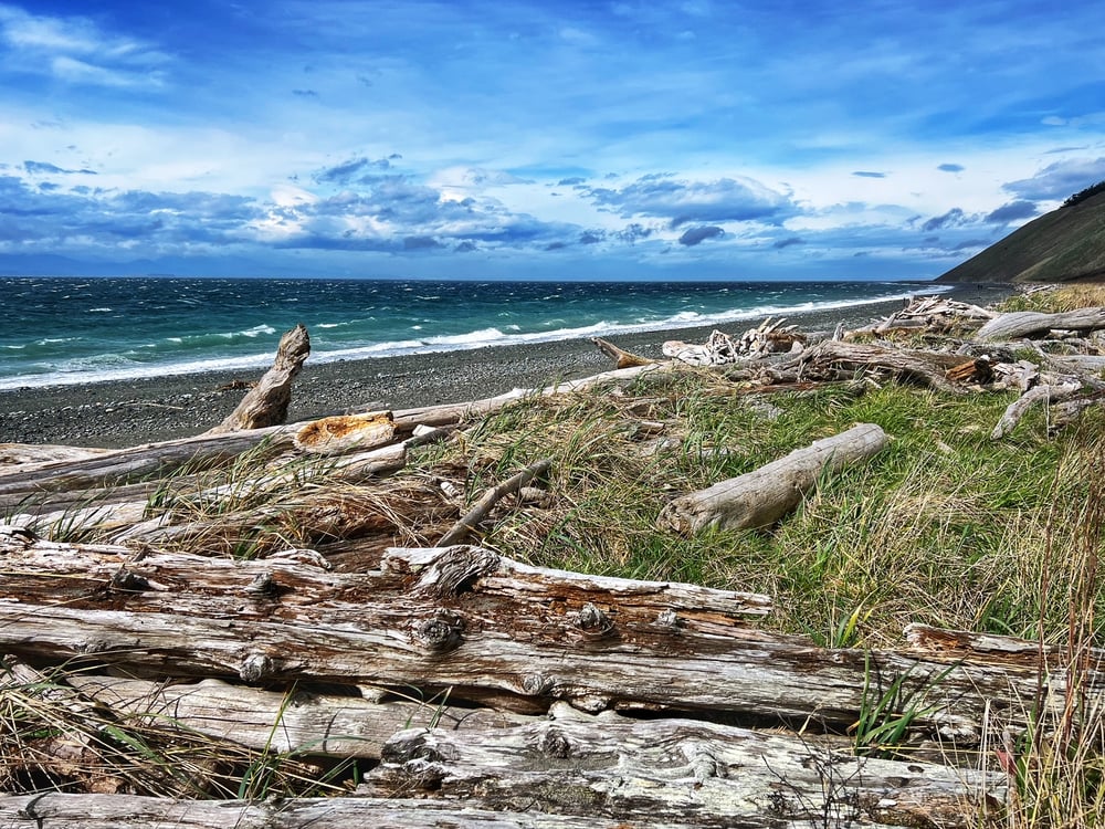 Image of Whidbey Island ADVENTURE session - SPRING & SUMMER - $1500 