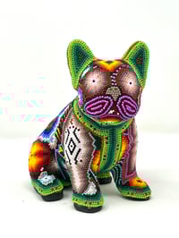 Image 1 of French bulldog Puppy 04