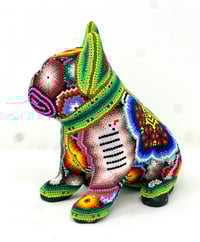 Image 4 of French bulldog Puppy 04