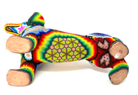 Image 4 of Dachshund