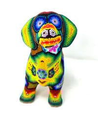 Image 5 of Dachshund