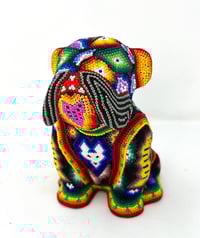 Image 1 of English bulldog 01