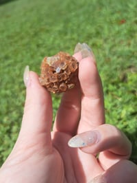 Image 1 of Aragonite Sputnik Small