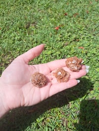 Image 4 of Aragonite Sputnik Small