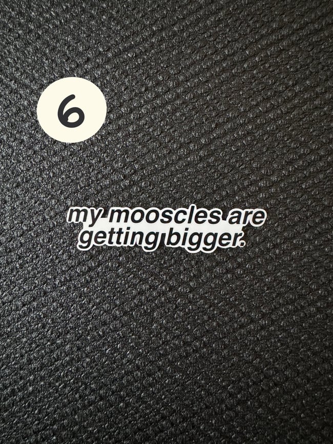 The Mooscles Bunny Six Pack