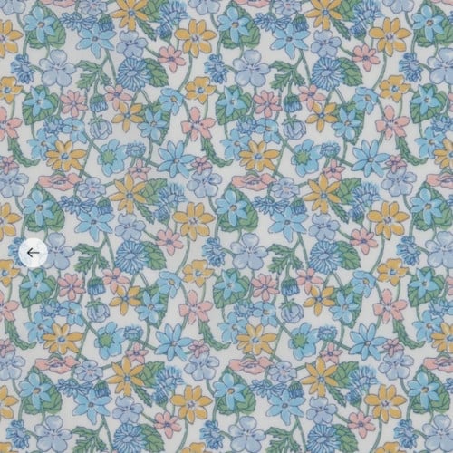 Image of  CARMELLA DAISY ( A )  