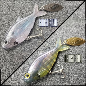 Image of Tracer Shad