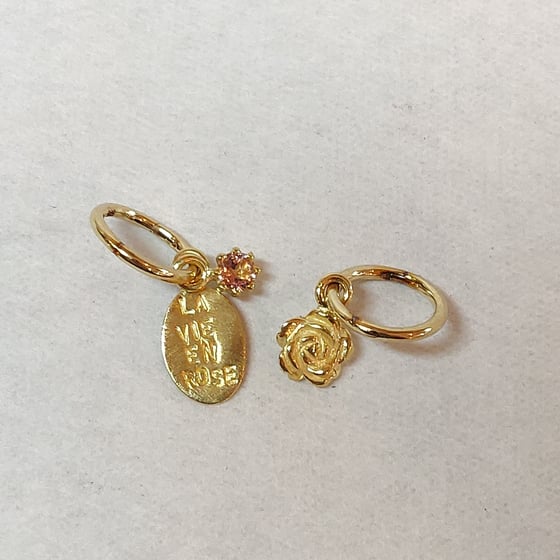 Beeld van La vie en rose N°374