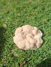 Image 2 of Apophyllite Cluster B