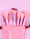 Think Pink Brush Set 