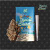 Seed Junky Seed Junky TROPICAL BURST (1G Pre-Roll)