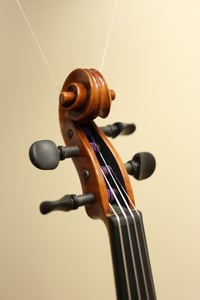 Image 4 of Mf Violine № 51
