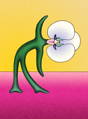 Image of ORCHID CARD