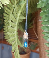 Image 1 of Seed necklace with charm ~ blue forest