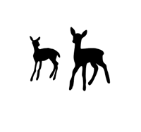 deer pack