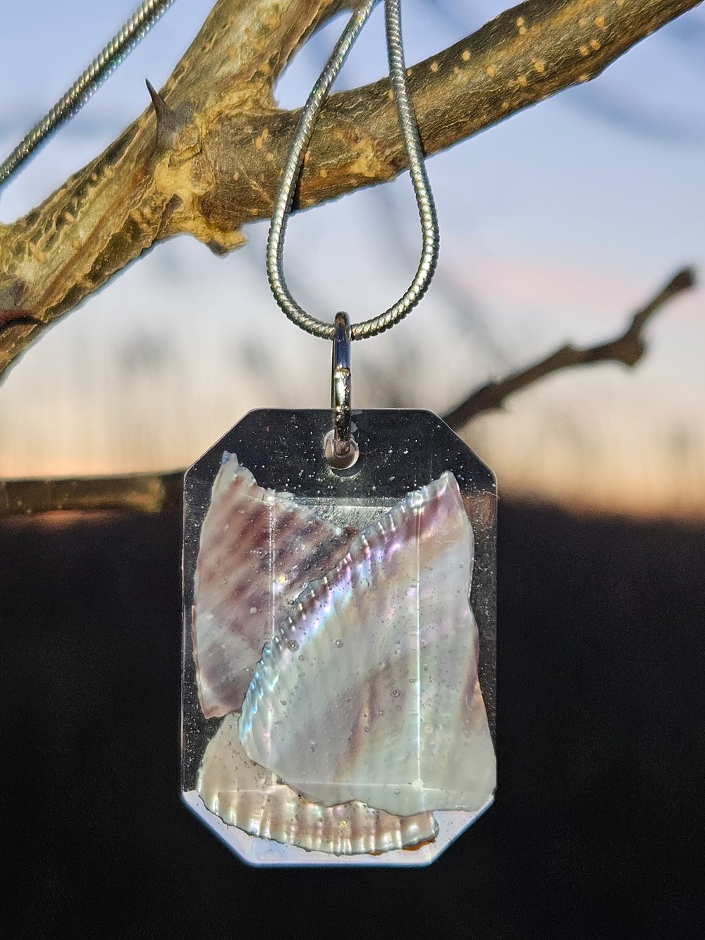 Image of Ribbed Mussel Necklace- Emerald Cut
