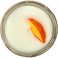 Image 4 of Peach Magnolia Candle  16 oz