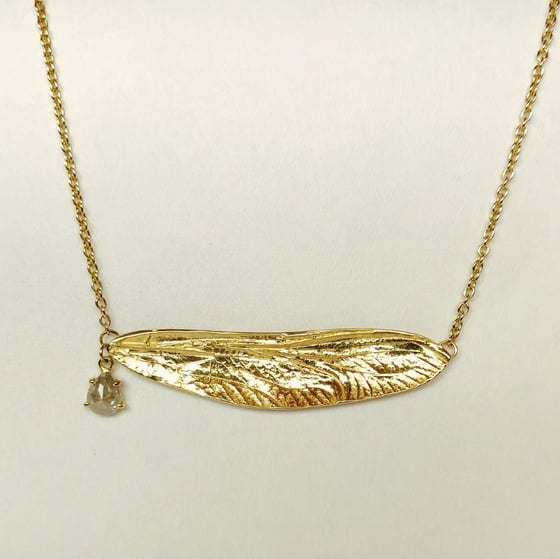 Beeld van Dragonfly wing