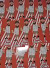 Pack of 25 10x5cm Aberdeen The Dons Football/Ultras Stickers.