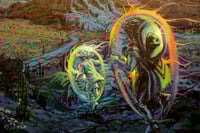 Image 4 of Los aliados, una marcha de poder, homenaje a Carlos Castaneda / The allies, a march of power. 