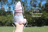 Image 3 of [ADD ON] BUNDLE - Christmas Gnome x2 (Pink/Blue)