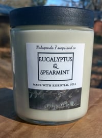 Eucalyptus & Spearmint Candle