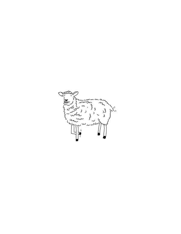 Image of That’s the sheep