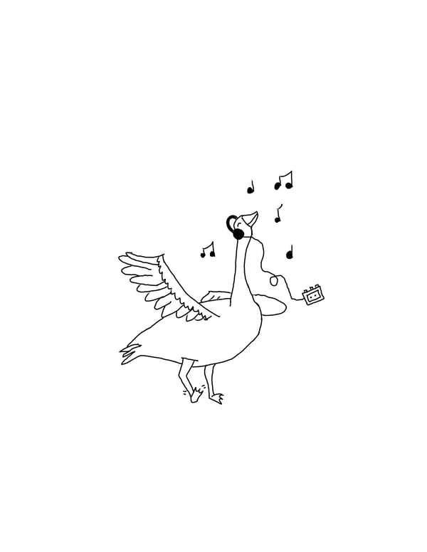 Image of Dancing duck