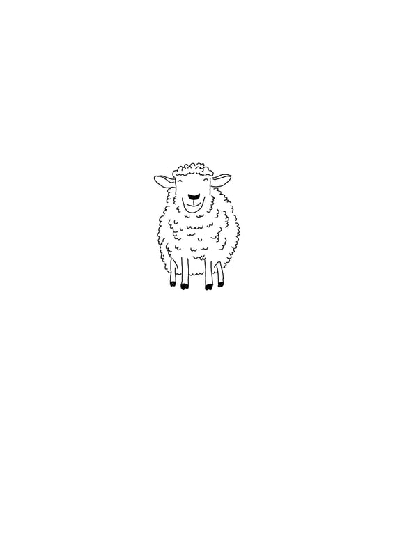 Image of Sheeep