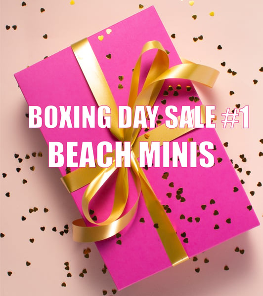 Image of BOXING DAY SALE # 1 - BEACH MINIS