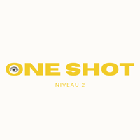 Image of FORMATION "ONE SHOT" - Niveau 2