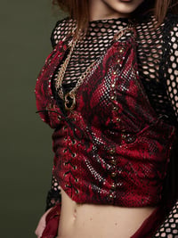 Image 1 of "Red Viper" crop top and pants. Size S/XS.