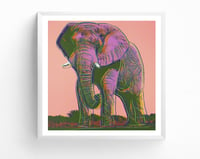 Image 4 of Andy Warhol - African Elephant, Endangered Species Portfolio, Giclee Print, Poster