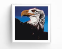 Image 5 of Andy Warhol - Bald Eagle, Endangered Species Portfolio, Giclee Print, Poster