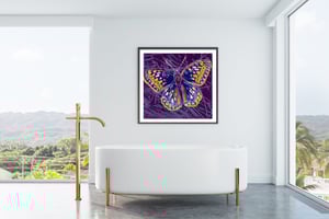 Image of Andy Warhol - San Francisco Silverspot, Endangered Species Portfolio, Giclee Print, Butterfly Poster