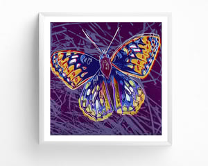 Image of Andy Warhol - San Francisco Silverspot, Endangered Species Portfolio, Giclee Print, Butterfly Poster