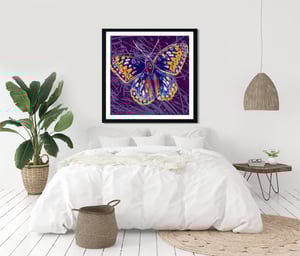Image of Andy Warhol - San Francisco Silverspot, Endangered Species Portfolio, Giclee Print, Butterfly Poster