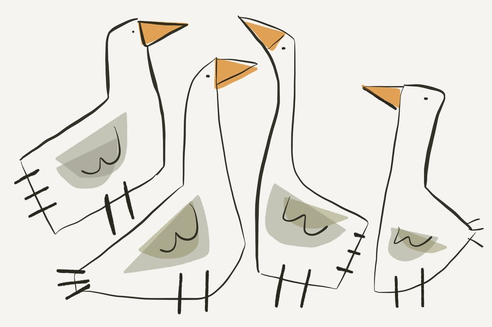 Image of Birds in Conversation
