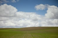 Image of Rexburg Environs