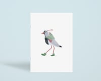 Image 3 of NOTEBOOK A5 - SOUTHERN LAPWING