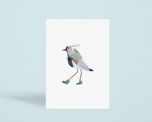 Image of NOTEBOOK A5 - SOUTHERN LAPWING