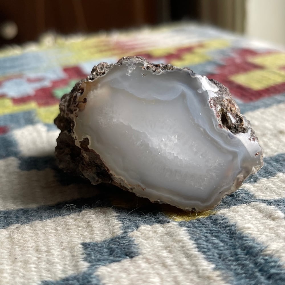 Gray/Blue Banded Montana Agate Nodule