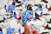 Image 1 of Harlequin & Bufflehead Duck Stickers