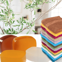 Cleansing Bar