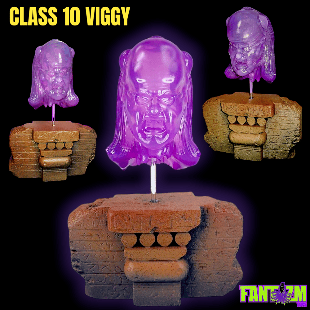 Class 10 Viggy