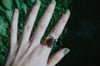 Size 7.5 - Forager Ring #1