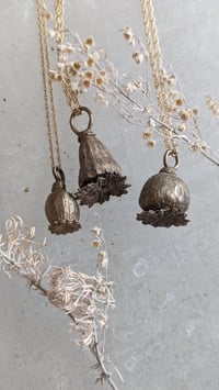 Image 1 of Poppy seed pod talismans
