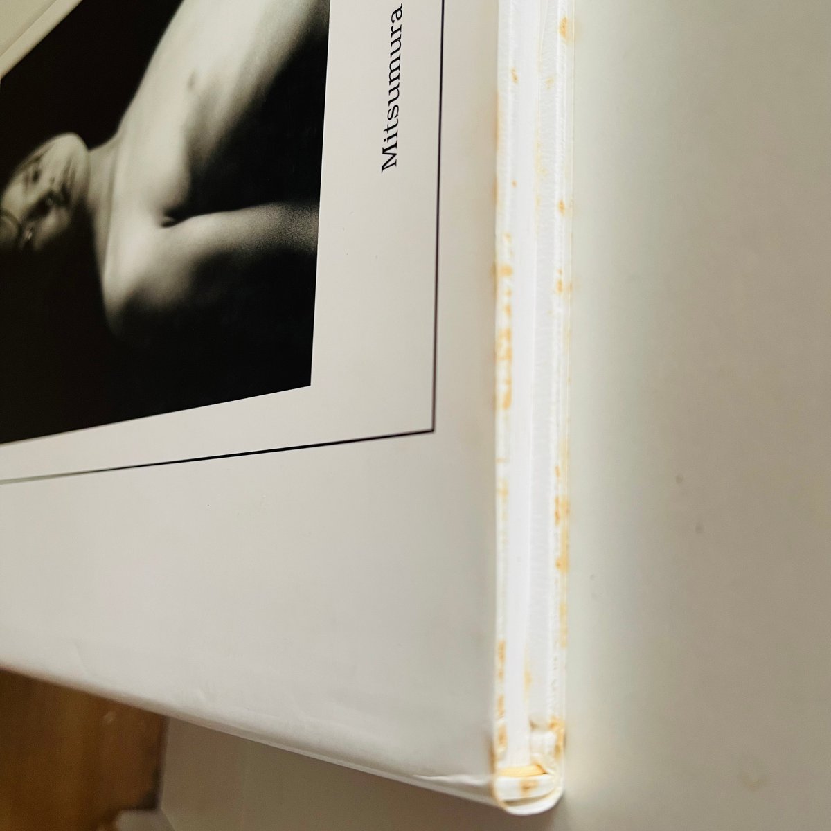 Sayo Daughter's photography birth to adult Sayo Daughter's photography birth to adult